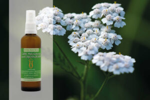 Blüten Aura Spray Schafgarbe Liebe Reinigung