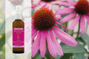 Blüten Aura Spray Sonnenhut Ganzheit