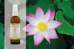Blüten Aura Spray Lotusblume - Fülle der Neuzeit
