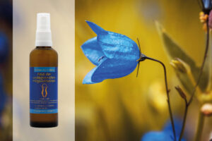 Blüten Aura Spray Glockenblume