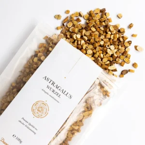 Astragalus Wurzel